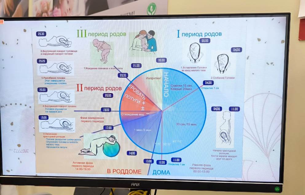Изображение WhatsApp 2024-05-03 в 15.02.19_87a33981.jpg