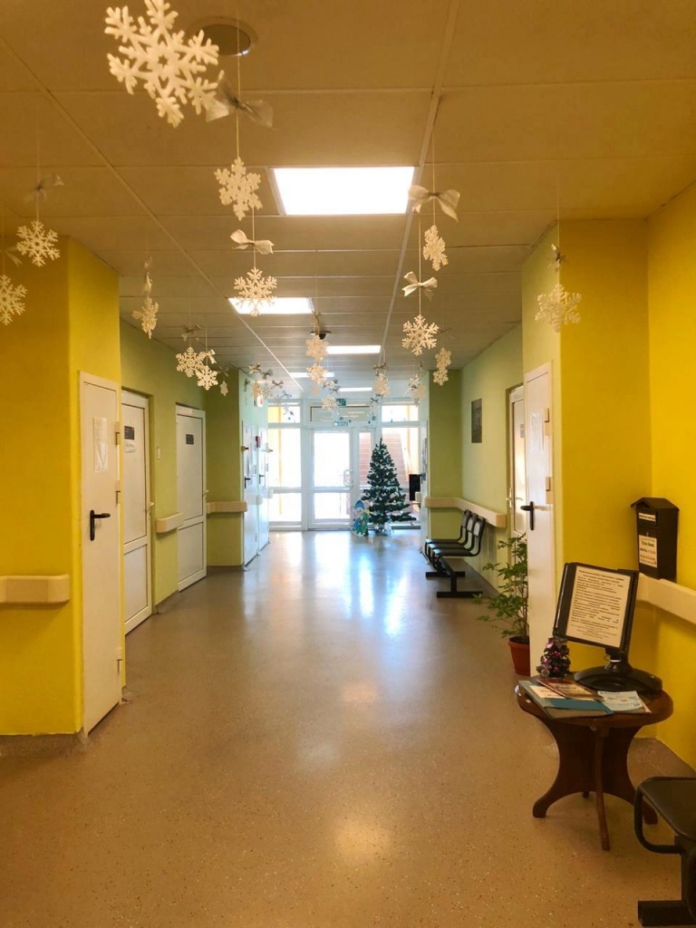 Перинатальный центр Приморья украсили к Новому году (5).jpg