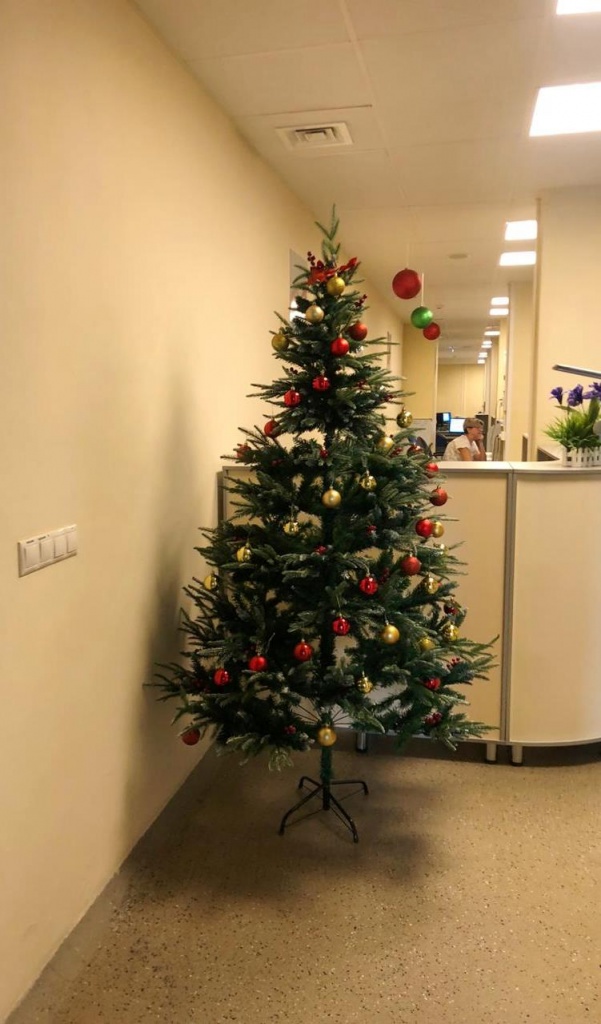 Перинатальный центр Приморья украсили к Новому году (6).jpg