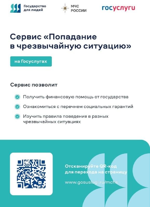 Изображение WhatsApp 2024-08-27 в 15.06.58_0ce1b81c.jpg