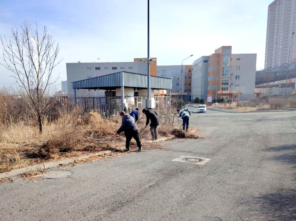 Изображение WhatsApp 2025-03-06 в 16.28.12_da00fd84.jpg