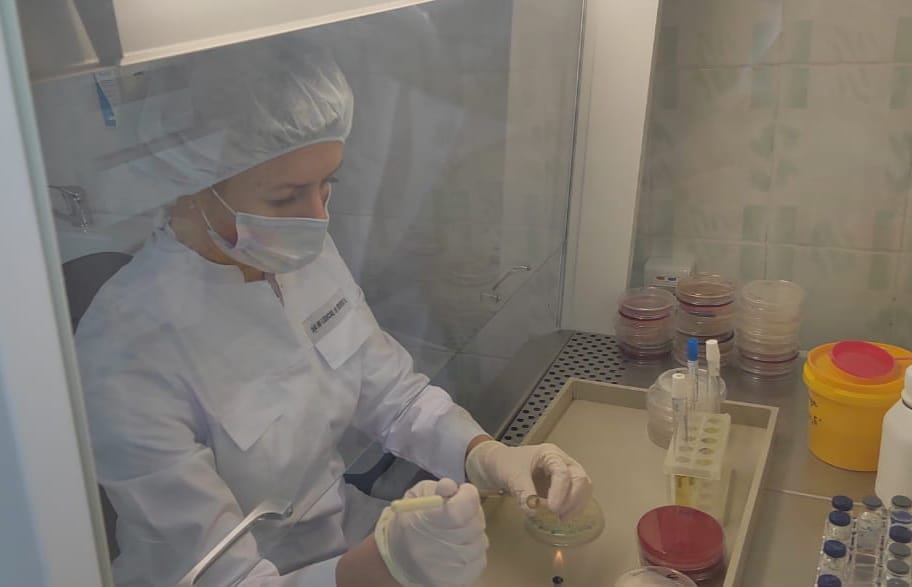 WhatsApp Image 2023-03-17 at 17.10.04.jpeg