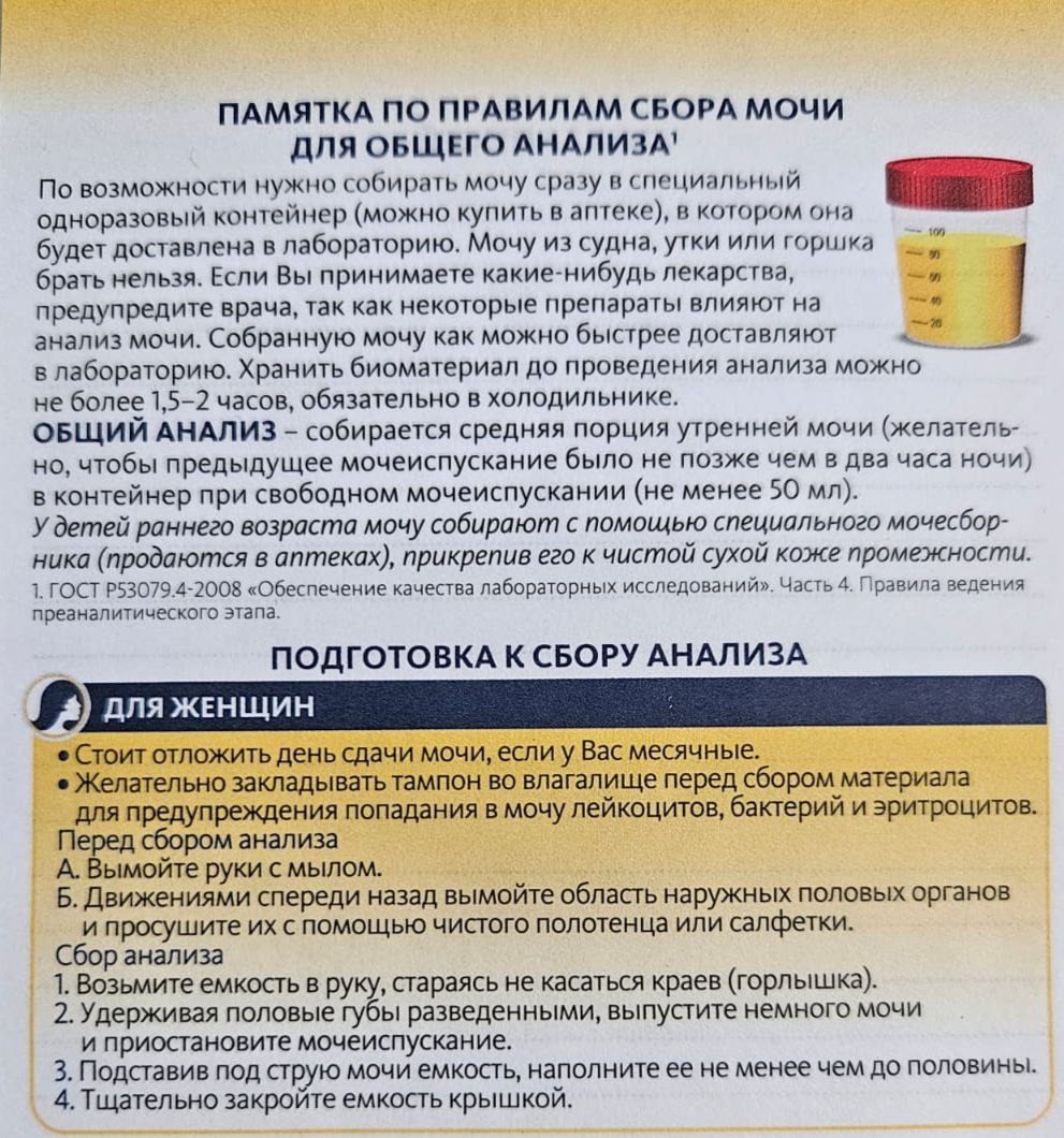 Изображение WhatsApp 2024-01-25 в 12.26.56_ed3789b8.jpg Изображение WhatsApp 2024-01-25 в 12.26.56_ed3789b8.jpg