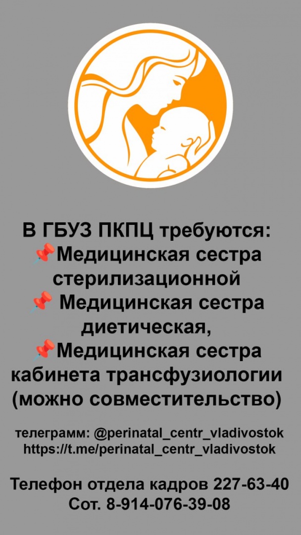 Изображение WhatsApp 2023-12-14 в 14.12.00_54945162.jpg