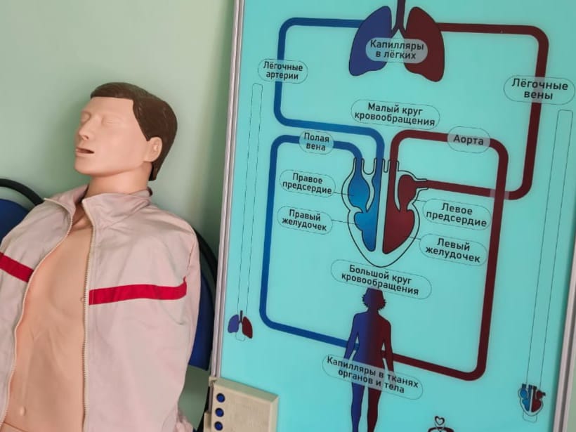 Изображение WhatsApp 2024-04-15 в 19.46.58_7fa4d1e3.jpg