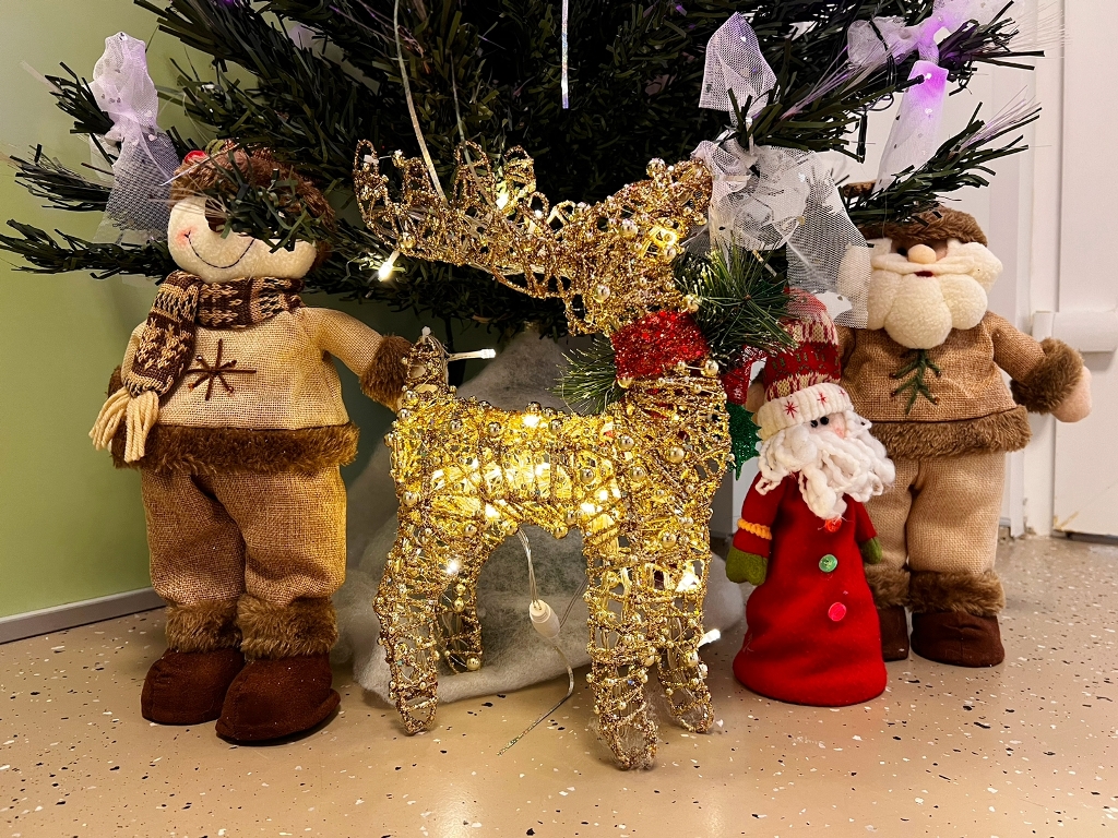 WhatsApp Image 2022-12-29 at 15.39.17 (1).jpeg